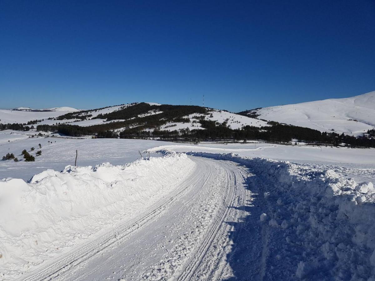 Gaga * Zlatibor